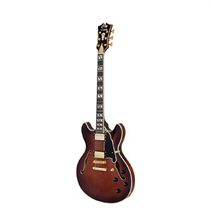 D'ANGELICO Excel DC Amaretto Burst