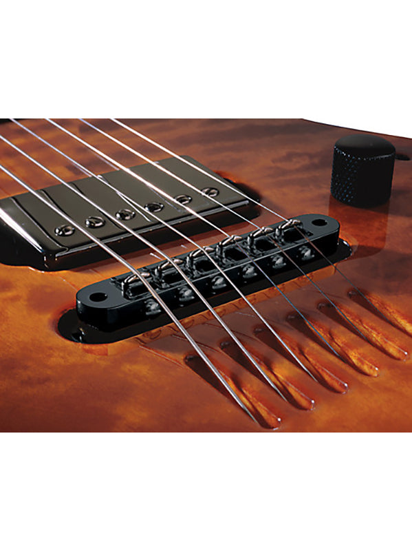 L.R. Baggs Chevalet Tune o matic