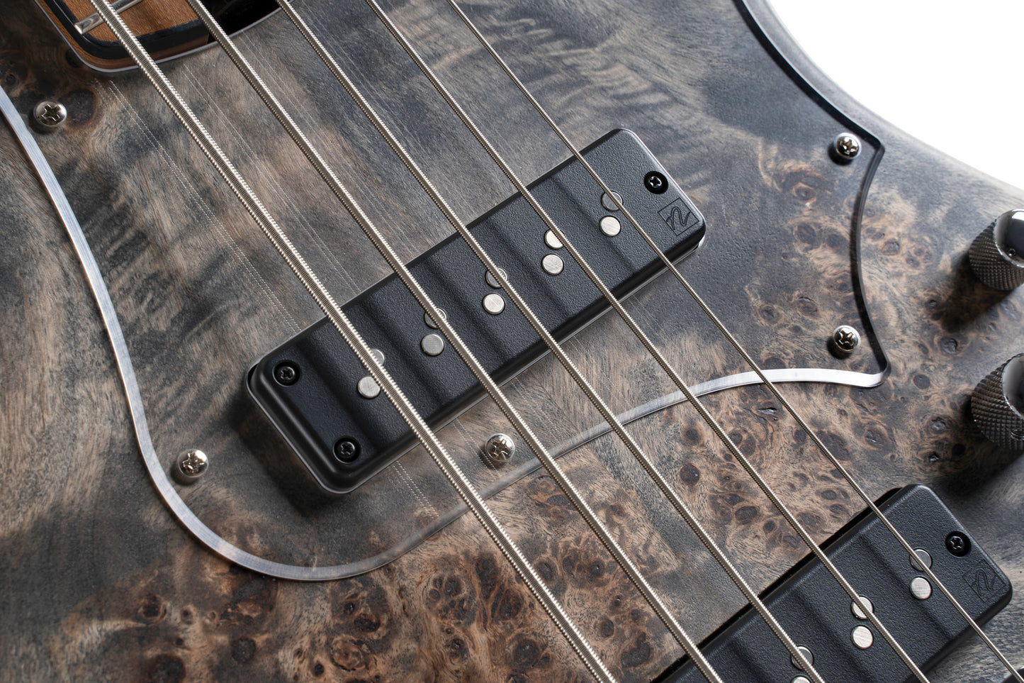 GB-MODERN 5, 5 cordes, table peuplier figuré, corps érable/paulownia/frêne, micros Nordstrand, préampli MarkBass, charcoal grey