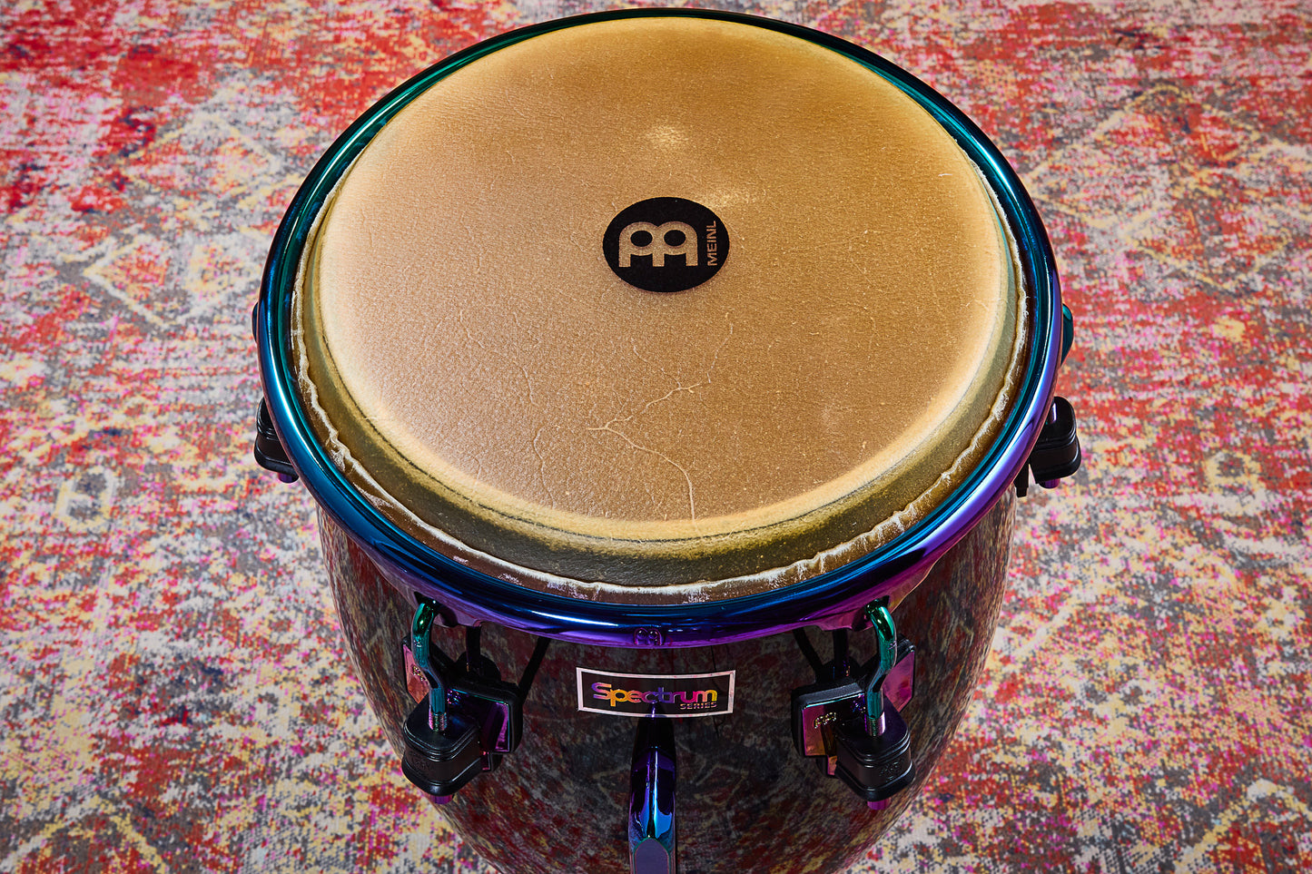 Quinto Spectrum 11", fût Chêne Siam 3 plis, hauteur 76.2cm, peau true skin buffle, cercles SSR 4mm.