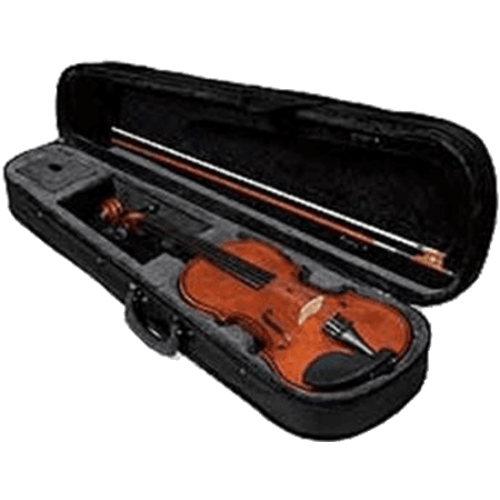 herald violon acoustique as118