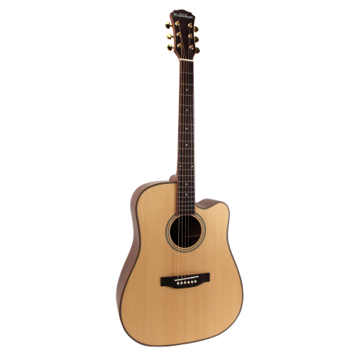 freshman guitare folk SONGDCE dreadnought electro naturelle