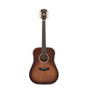 D'Angelico Excel Lexington Autumn Burst