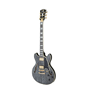 D'ANGELICO Excel Mini DC Black Dog