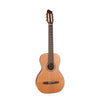 Godin Motif RN