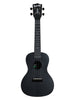 Kala Recycled Waterman, Concert - Black Sand