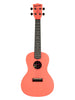 Kala Recycled Waterman, Concert - Pink Dust