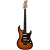 Larry Carlton S3 TS RN