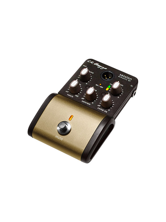 L.R. Baggs Session Acoustic  D.I