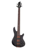 Schecter Charles Berthoud CB-5 - See Thru Black Satin