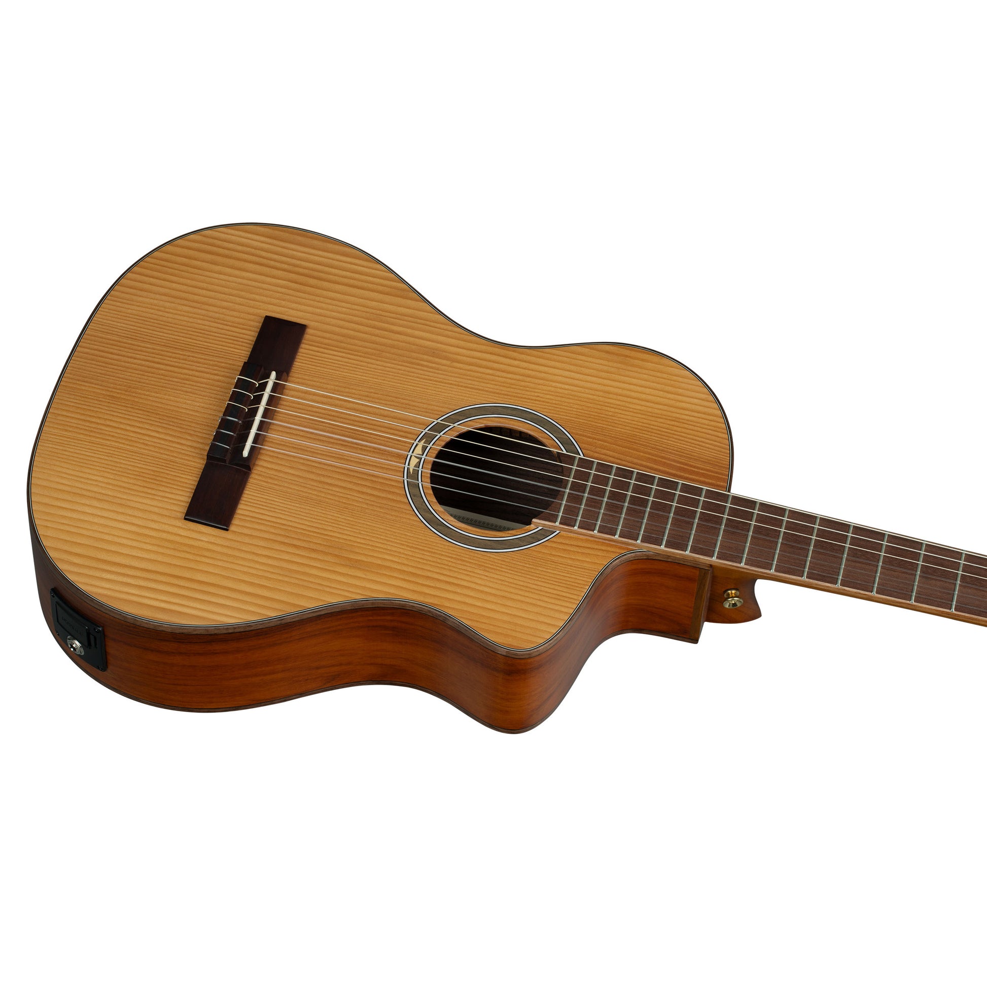 RCE23RO, pan coupé, EQ MagusPro, table épicéa massif torréfié, fond & éclisses pao ferro, manche érable torréfié, housse, marron