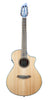 Breedlove Discovery S Concert CE Nylon