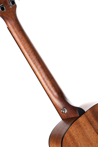 Earth Mini, modèle Dreadnought 3/4, table épicéa massif, fond & éclisses acajou, housse, naturel pores ouverts