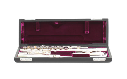 Flûte traversière Trevor James 10x 3041CDRSLRWX (Tête droite + tête courbée, plaque et noyau en argent)