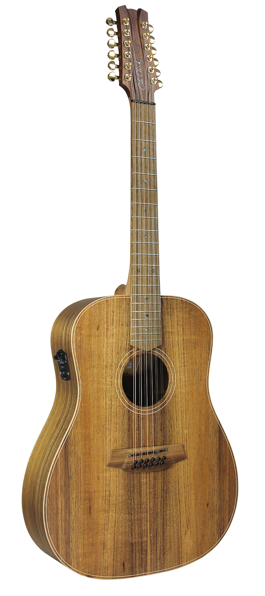 Fat Lady 2, Dreadnought, EQ 3 voix PG3, table blackwood massif, f/e blackwood massif, modèle 12 cordes, étui tweed