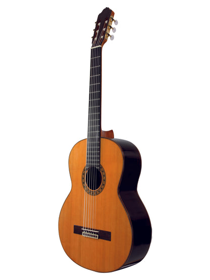 Basse Baritone Quint, 6 cordes, table cèdre massif, éclisses palissandre indien massif, fond palissandre indien, touche ébène