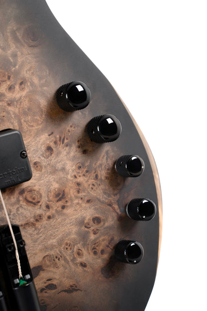 SPACE 4 BSDB, corps érable, table peuplier figuré, manche 7 pièces, micros et EQ Bartolini MK-1, star dust black, housse