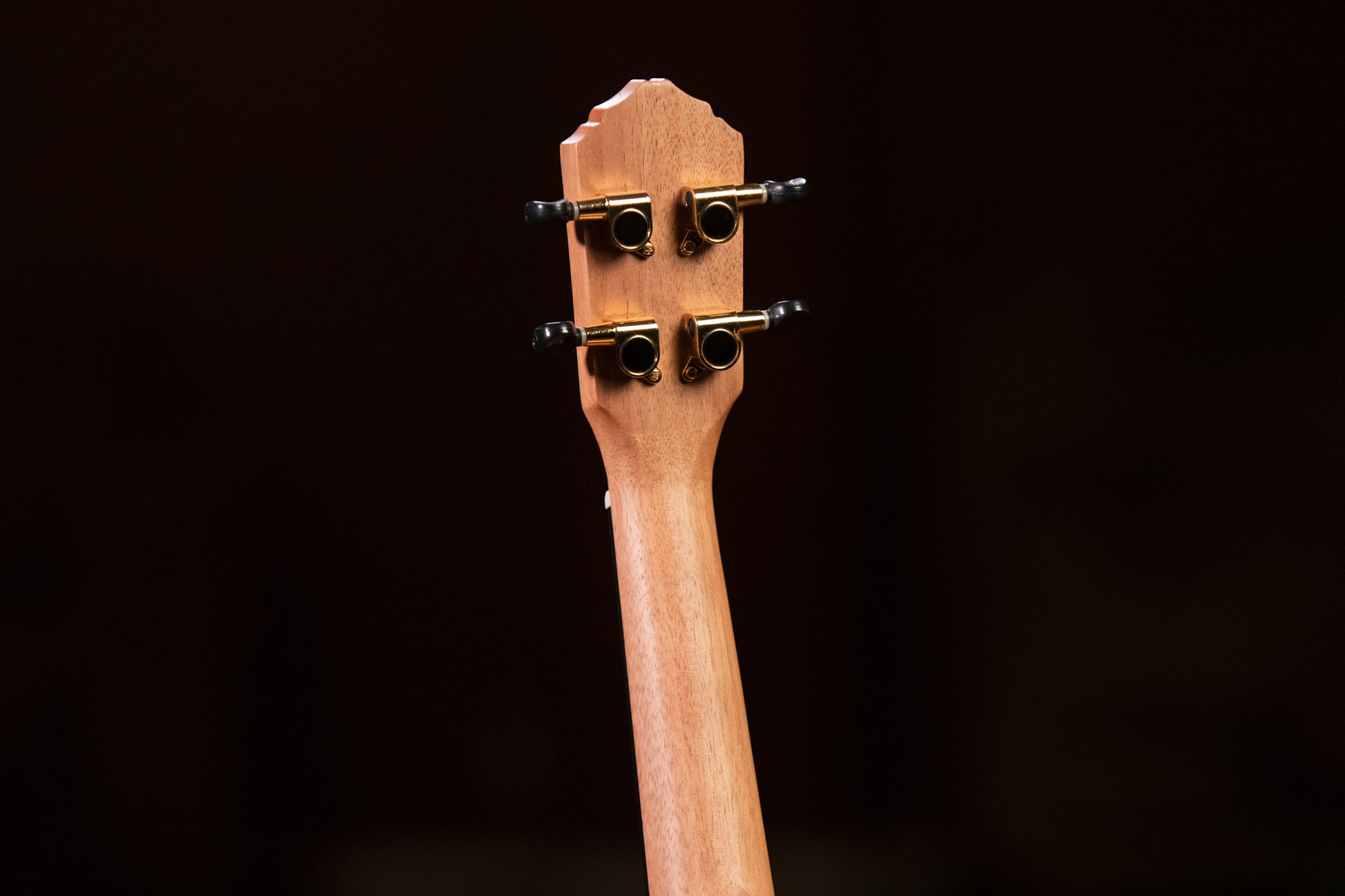 RUEB-SO, modèle Soprano, table ébène, fond & éclisses ébène, touche & chevalet noyer, housse deluxe, satiné pores ouverts