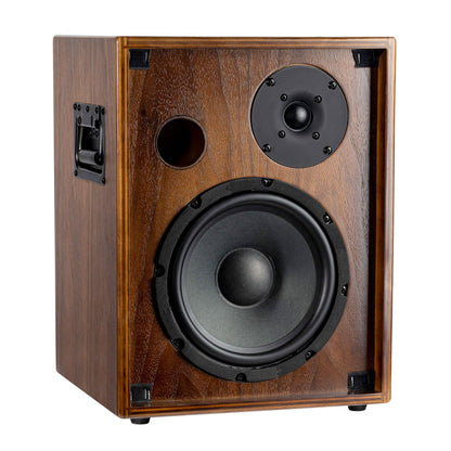 CONE-WND, ampli combo guitare acoustique 100W, deux canaux, réverb & chorus intégrés, avec housse, noyer foncé satiné et noir