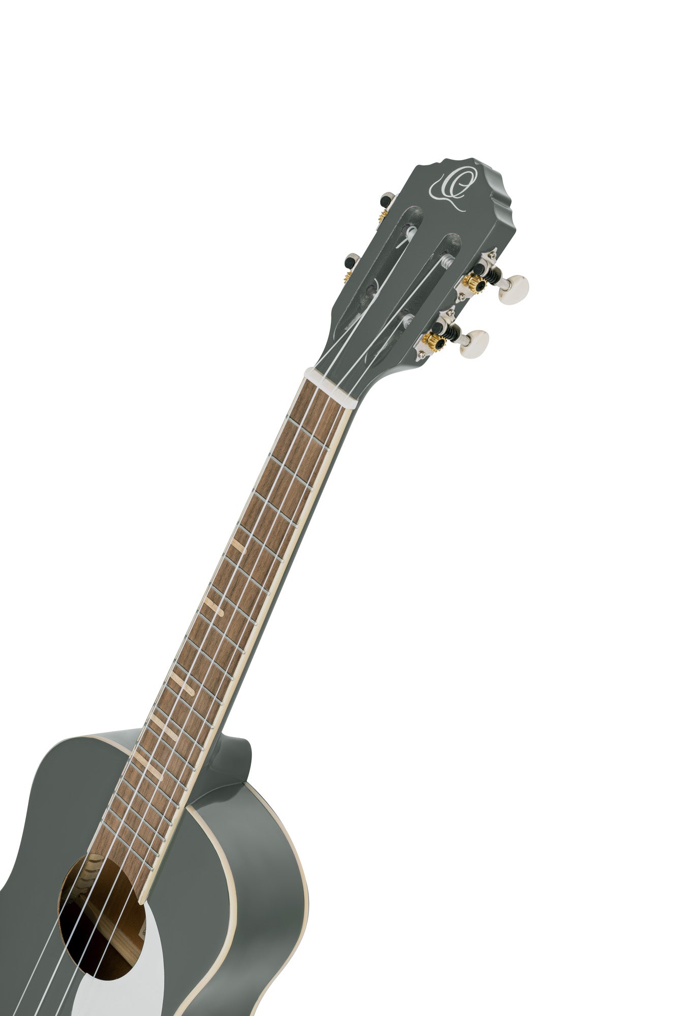 RUGA-PLT, modèle Ténor, table agathis, fond & éclisses agathis, manche Okoumé, housse assortie, gris platine brillant