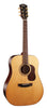 Cort Gold D6