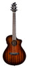 Breedlove Wildwood Pro Companion Ce