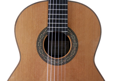 MOD.12, table cèdre massif, f/e palissandre massif, manche cèdre avec insert fibre de carbone, touche ébène, soft case