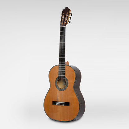 65 ANOS, table cèdre massif, f/e blackwood massif, manche cèdre avec renforts ébène et carbone, touche ébène, avec étui