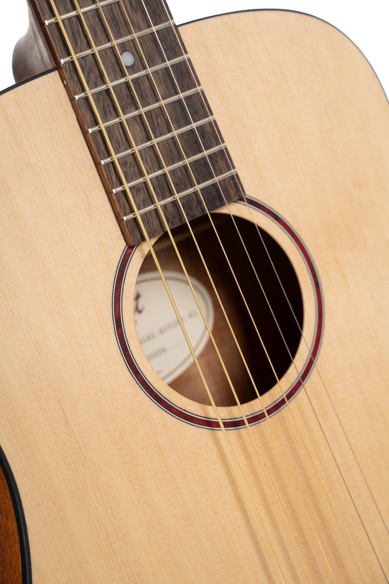 Earth Go, modèle Dreadnought 3/4, table épicéa massif, fond & éclisses acajou, HyVibe 2,  housse, naturel pores ouverts