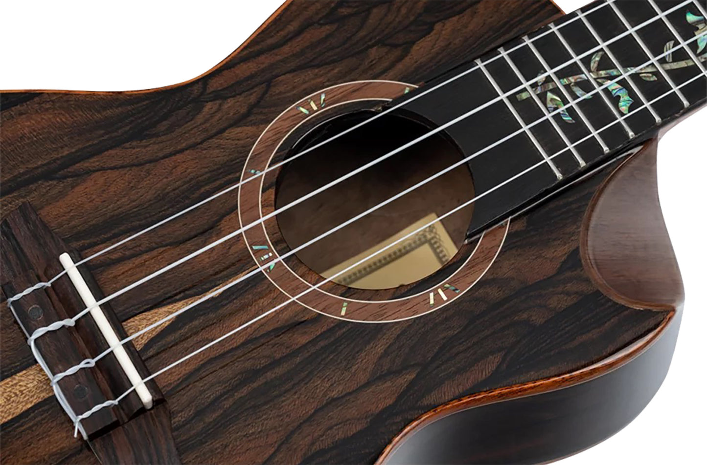 RUET-ZC, modèle Elite Concert pan coupé ergonomique, EQ MagusFly, table ziricote massif, f/e ziricote, naturel brillant