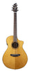 Breedlove Performer Pro Concert Ce Rw