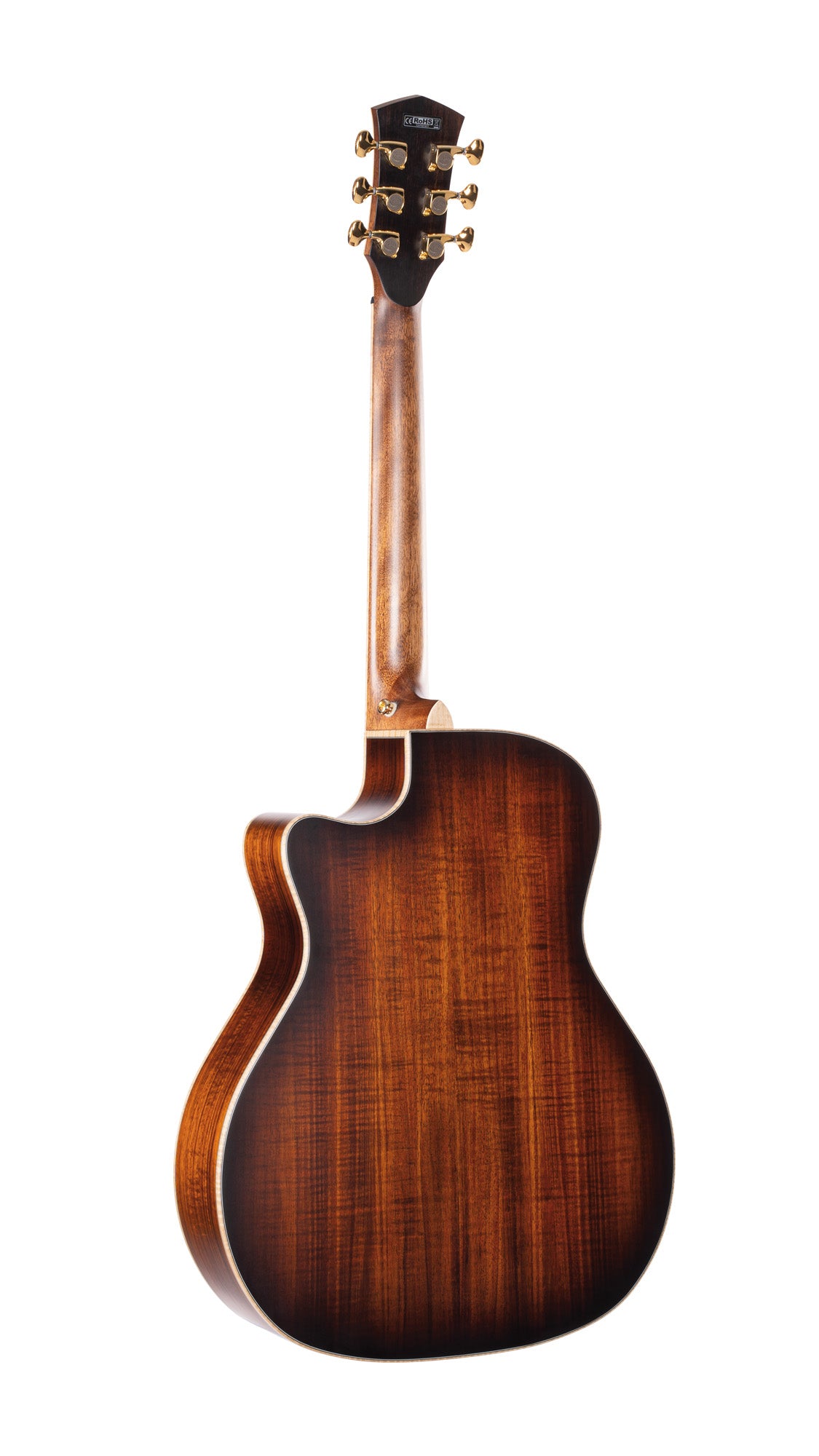 THE BLACK TREE, série limitée, table blackwood massif, f/e blackwood massif, EQ LR Baggs Anthem, étui, light burst satiné