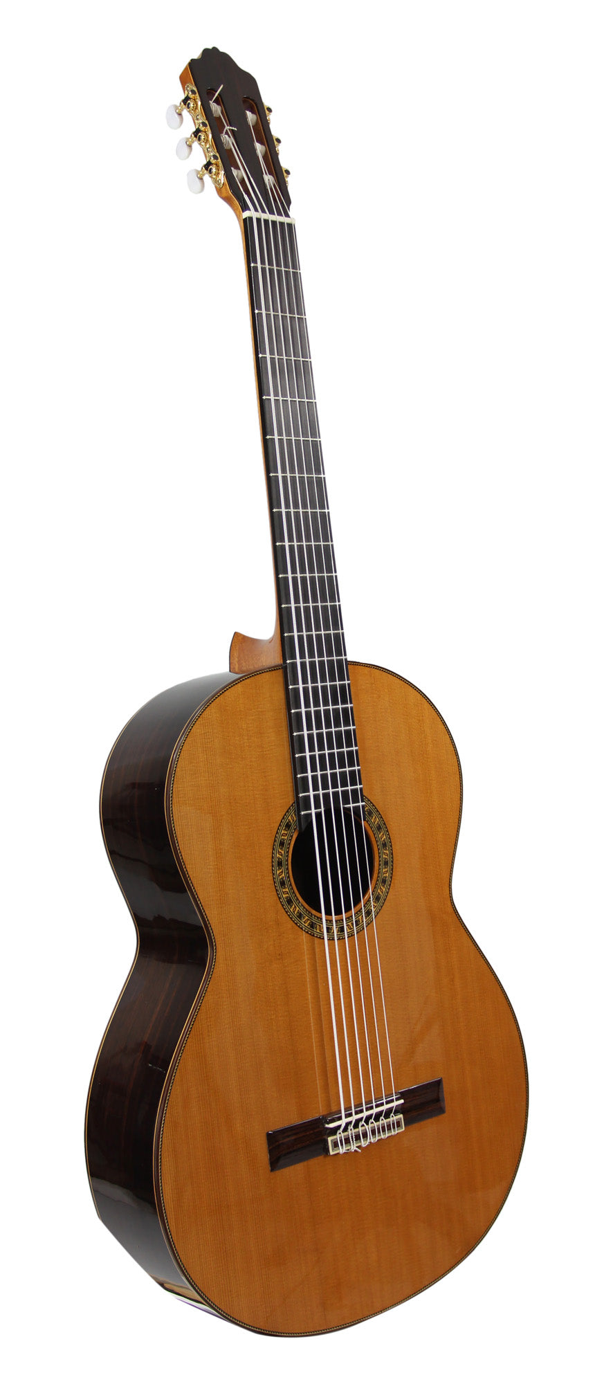 Octave Bass 6, basse 6 cordes, table cèdre massif, fond et éclisses palissandre indien, touche ébène, corde vibrante 75 cm