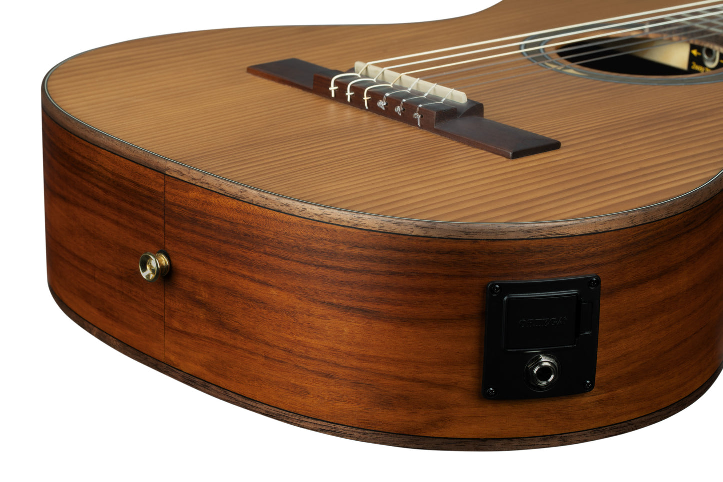 RCE23RO, pan coupé, EQ MagusPro, table épicéa massif torréfié, fond & éclisses pao ferro, manche érable torréfié, housse, marron