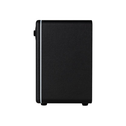 Ampli HORNET 15i, 15W, HP 6.5", 52 modélisations d'amplis, 49 effets, accordeur, looper, Bluetooth, USB-C, alimentation, noir