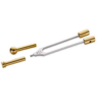 DIAPASON SONIC ENERGY GROUNDING THERAPHY EARTH YEAR