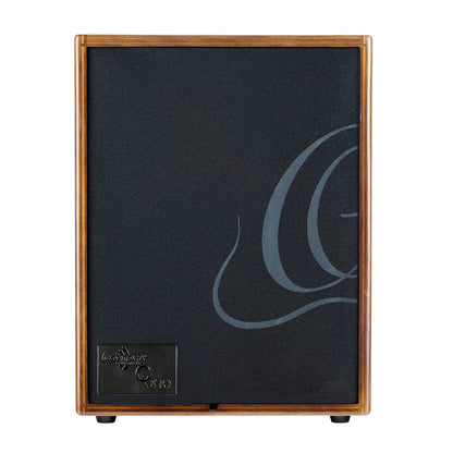 CONE-WND, ampli combo guitare acoustique 100W, deux canaux, réverb & chorus intégrés, avec housse, noyer foncé satiné et noir