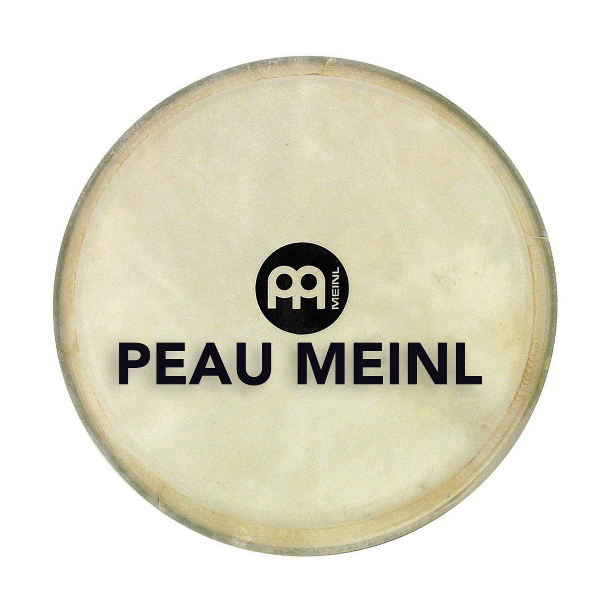 Peau 8" pour bongo Free Ride FWB190/200