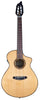 Breedlove Pursuit Exotic S Concert CE Nylon