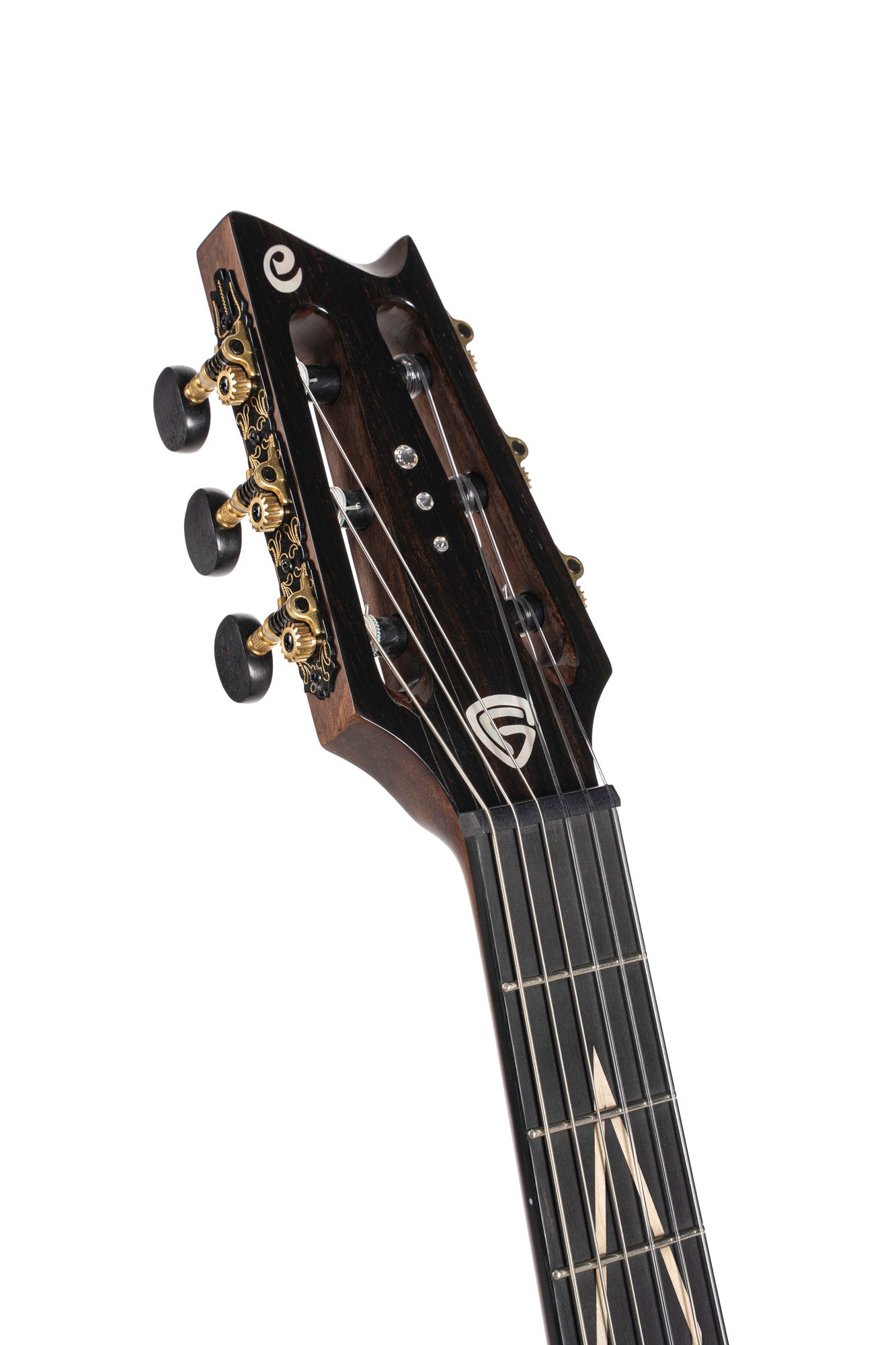 LUXE NYLON, Frank Gambale Signature, forme Concert, table blackwood massif, f/e blackwood massif, EQ Fishman, naturel brillant