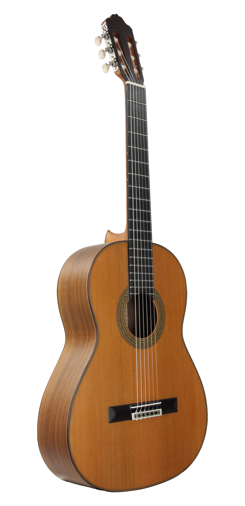 MOD.5, table cèdre massif, fond et éclisses noyer, touche palissandre, diapason 650 mm, naturel satiné