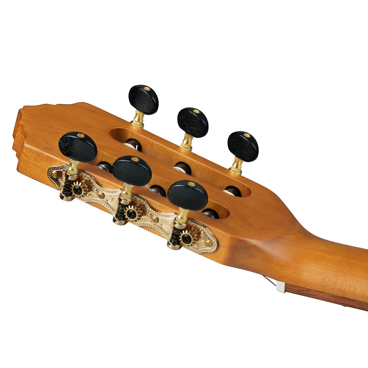 RCE23RO, pan coupé, EQ MagusPro, table épicéa massif torréfié, fond & éclisses pao ferro, manche érable torréfié, housse, marron