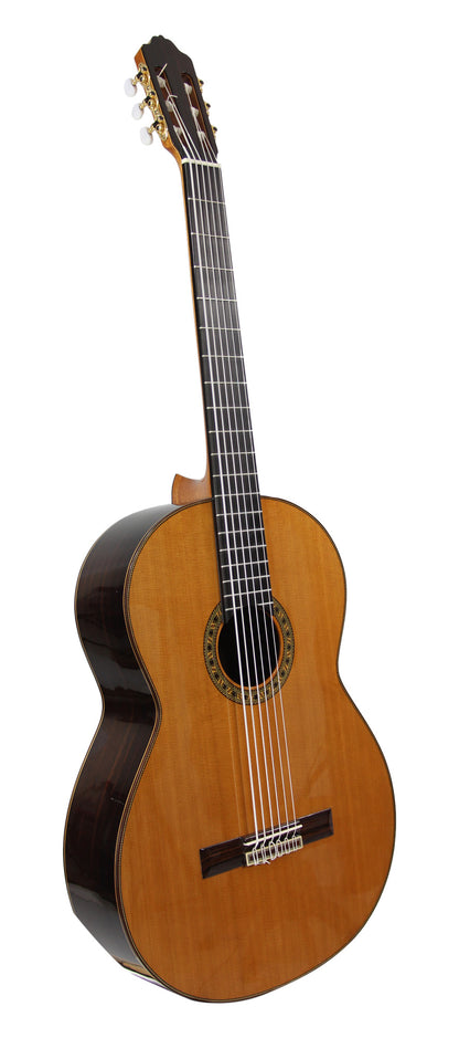 Octave Bass 6, basse 6 cordes, table cèdre massif, fond et éclisses palissandre indien, touche ébène, corde vibrante 75 cm