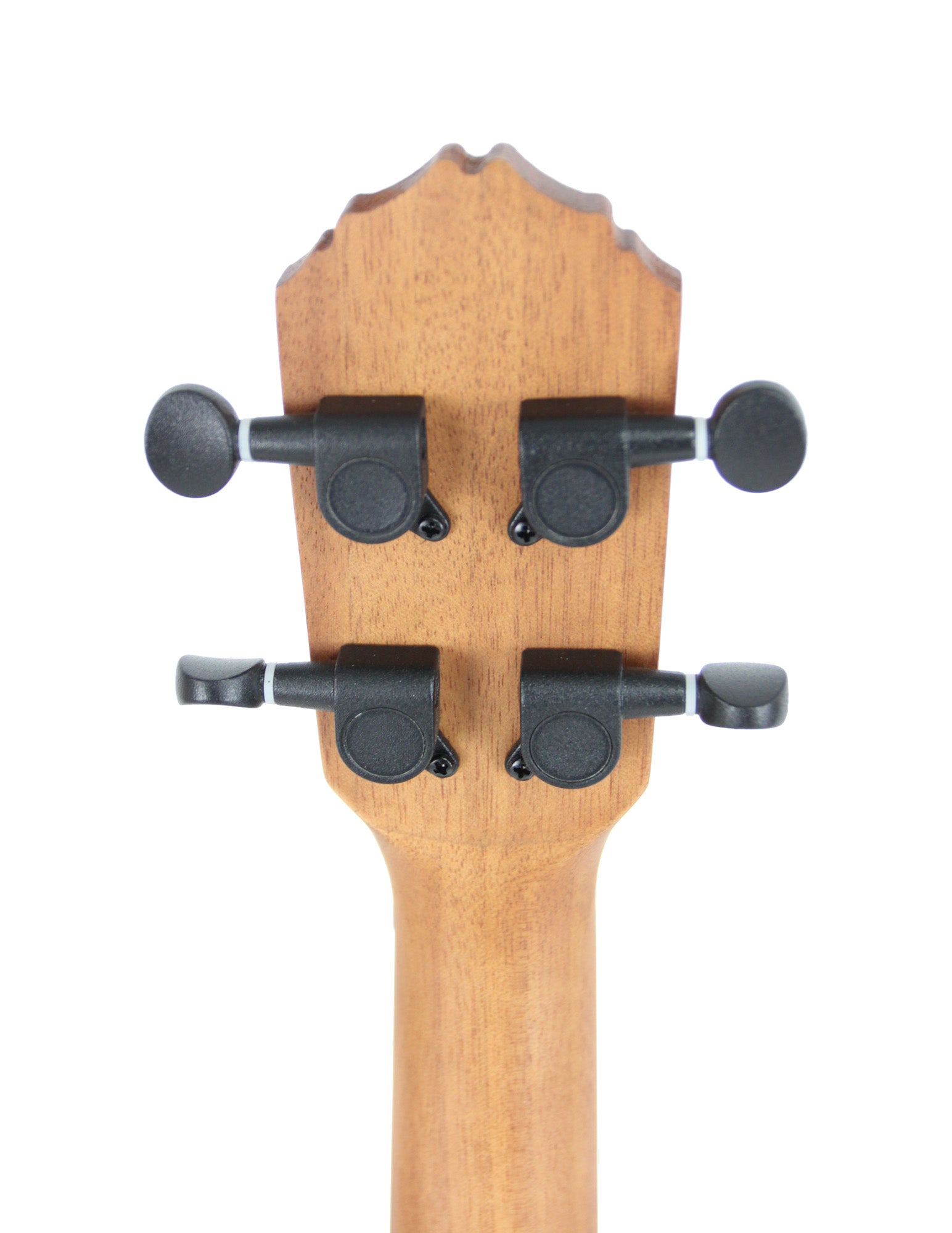 RFEU-4, exclu France, modèle Concert, table épicéa motif Tree of Life, fond & éclisses sapele, manche acajou, naturel satiné