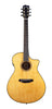 Breedlove Performer Pro Concerto Ce