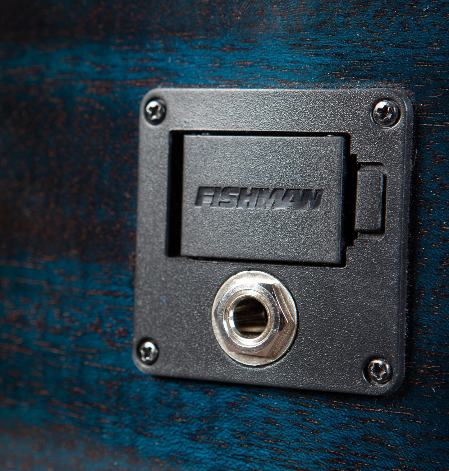 RAINFOREST S CONCERT PAPILLON CE, table acajou massif, f/e acajou, EQ Fishman Presys I, papillon