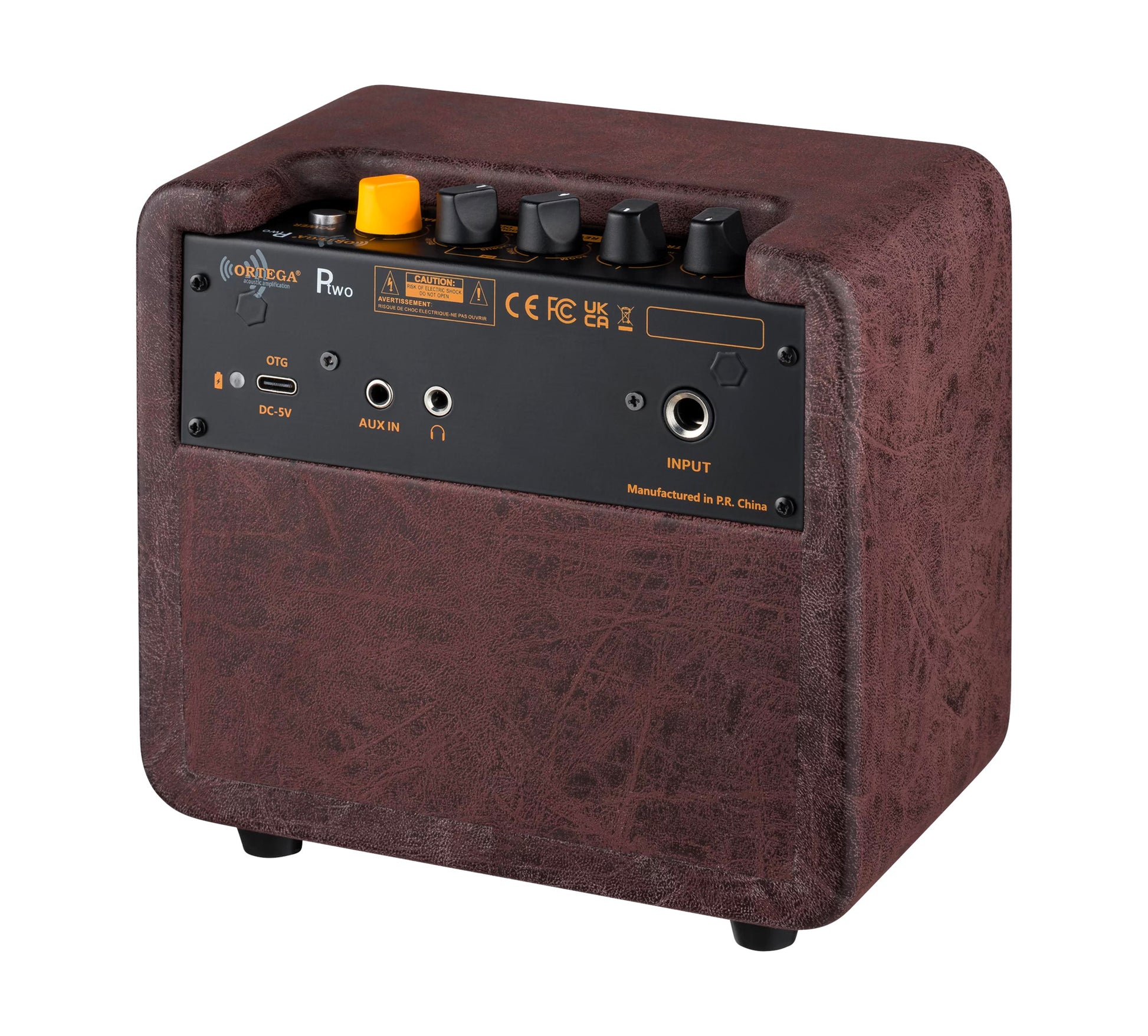 PTWO, ampli combo guitare acoustique 12W, Streaming Bluetooth, sortie casque, delay, reverb & chorus intégrés, simili cuir