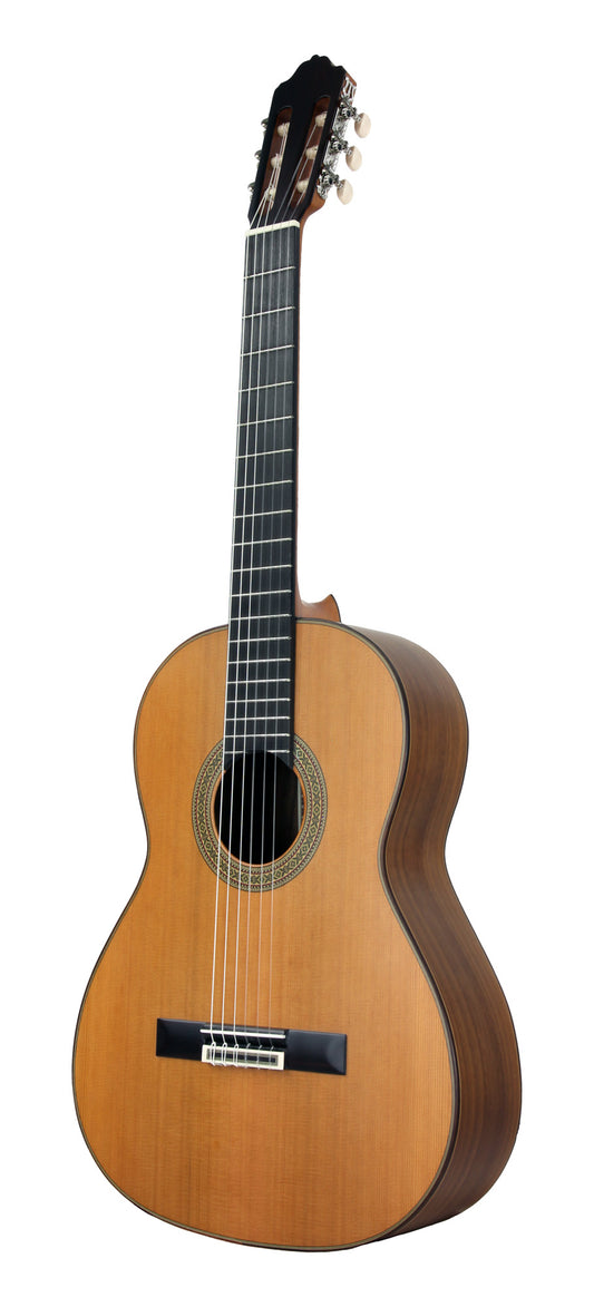 MOD.5, table cèdre massif, fond et éclisses noyer, touche palissandre, diapason 650 mm, naturel satiné