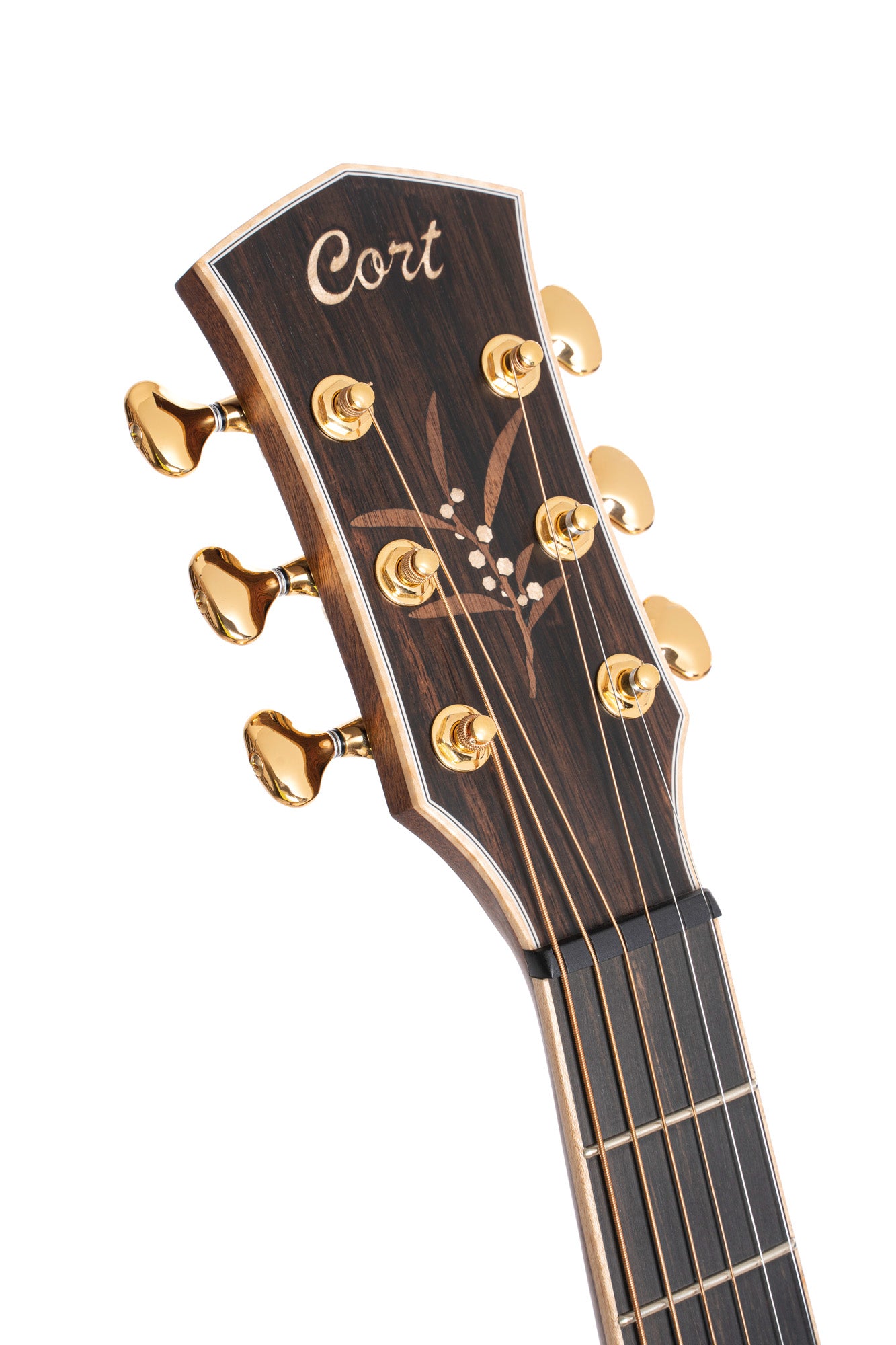 THE BLACK TREE, série limitée, table blackwood massif, f/e blackwood massif, EQ LR Baggs Anthem, étui, light burst satiné