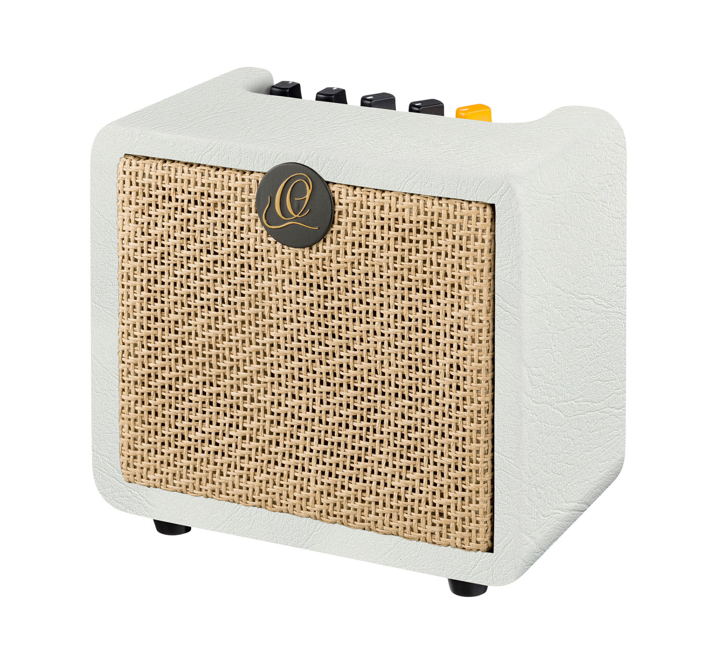 PTWO-LTD, ampli combo guitare acoustique 12W, Streaming Bluetooth, sortie casque, delay, reverb & chorus intégrés, simili cuir